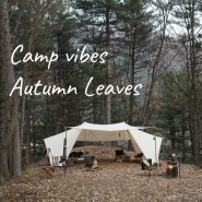 Camp vibes - Autumn Leaves /슈퍼포레스트, 올란드스토브