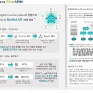 (주) 디리아의 오픈 API 매니지먼트 시스템, "CRUZ APIM"