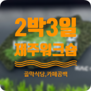 2박3일 제주 워크숍 후기 -1 (소노캄 제주, 골막식당,협재해수욕장,카페 공백)