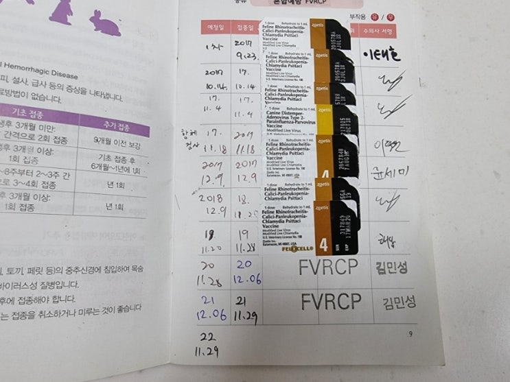 고양이 종합백신 접종완료 - FVRCP : 네이버 블로그