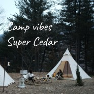 Camp vibes - Super Cedar /슈퍼 시더