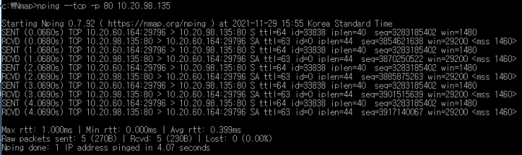 NMAP, NPING : 네이버 블로그