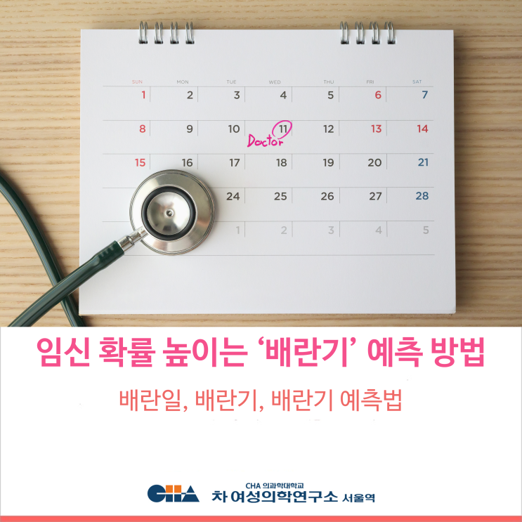 [차병원 서울역센터] 임신 확률 높이는 '배란기' 예측 방법 : 배란일, 배란기, 배란기 예측법 : 네이버 블로그