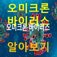 오미크론 (누 코로나 바이러스 변이 치사율 백신 관련주)