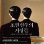 <초현실주의 거장들 : 로테르담 보이만스 판 뵈닝언 박물관 걸작展> 예술의전당 한가람미술관/21년11월27일~22년 3월 6일