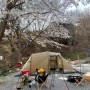 【 No. 150 Camping 】 구례 섬지 캠핑장 - 벚꽃 캠핑