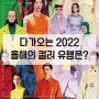 2022 팬톤컬러-올 해의 유행 컬러-패션,인테리어 컬러