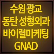 수원 광교 동탄 성형외과 바이럴마케팅 광고대행 실행사
