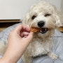 강아지 간식 추천 : 로얄펫라이프 강아지 훈련용 간식