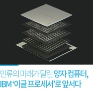 인류의 미래가 달린 양자 컴퓨터, IBM ‘이글 프로세서’로 앞서다