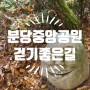 분당중앙공원 산책: 임산부 운동, 걷기 좋은 길 (feat. 늦가을 11월 12일)