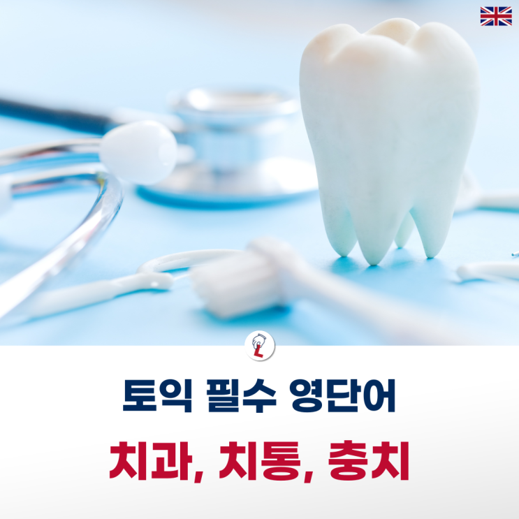 [랭픽:토익] 치과 필수 영단어 - 치통, 충치, 이빨을 뽑다 영어로 Toothache, Cavity, Decay, Tartar ...