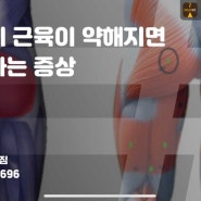 마포PT 엉덩이 근육이 약해지면 나타나는 증상