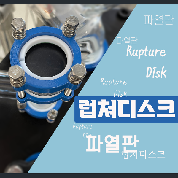 Graphite Rupture disk (럽쳐 디스크, 파열판) * // A company specializing in ...