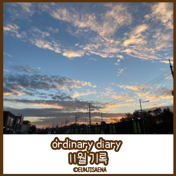 ordinary diary 11월 기록 : 네이버 블로그