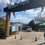 대구가볼만한곳 :: 아이와가기좋은 대구 네이처파크/부산근교 대구동물원
