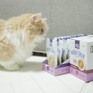 고양이 음수량 늘리기 뉴트리플랜 반려묘 영양스프