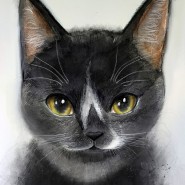 동물 캐릭터 일러스트 - 무지성으로 그려본 검은고양이 우주