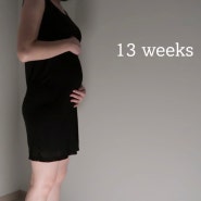 임신 4개월 증상 기록 : 13주차, 14주차, 15주차, 16주차 / 배크기, 몸무게 변화, 아기성별