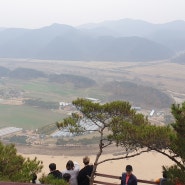 경북 예천 가볼만한 곳 회룡포 전망대와 맛집 용궁 단골식당