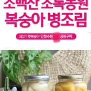 겨울 복숭아… 재주문 많은 이유 ~ 복숭아병조림 후기 댓글들 캡쳐해봄