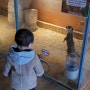 대전 가볼만한곳 티놀자애니멀파크 주말에 아이들과 함께 동물원 나들이가요.