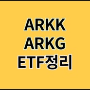캐시우드 누나의 ARKK,ARKG ETF 급락 - 절정의 매수타이밍 ?