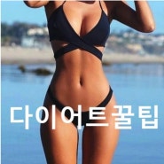 '단기간에 살 빼는 초단기 다이어트 방법' 급하게 살 빼려면 이거!