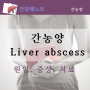 간농양 원인, 증상, 치료, liver abscess