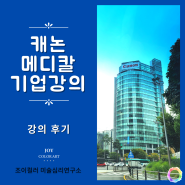 캐논 메디컬 시스템즈 컬러테라피 팀빌딩 기업강의 후기