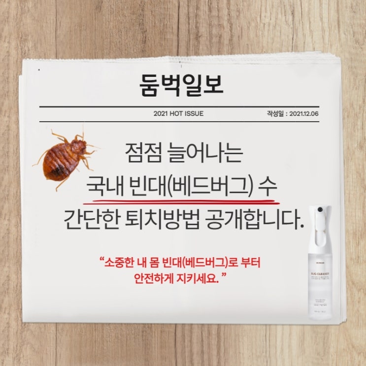 점점 늘어나는 국내 빈대(베드버그)!! 당하지 말고 없애버리세요!! : 네이버 블로그