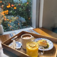 제주 서귀포 성산 감귤밭 카페 덴드리