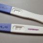 [임신_테스트기]첫 초음파 사진,임신초기증상?