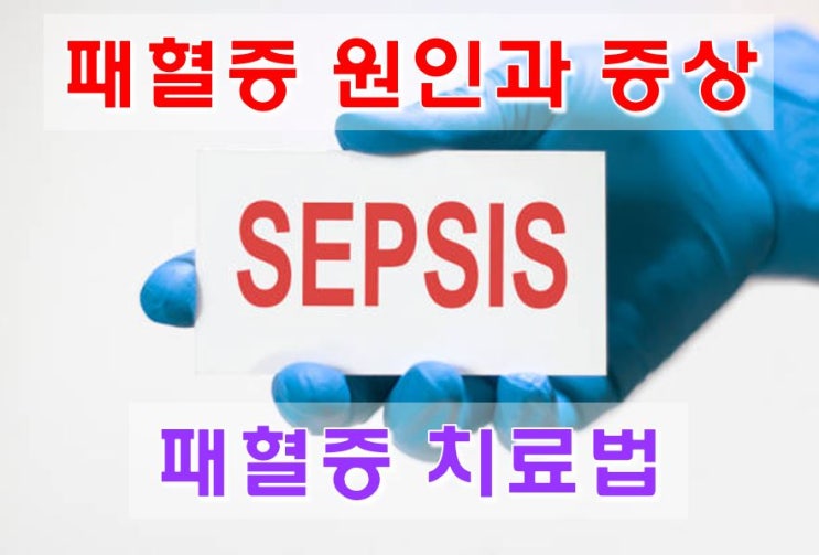 급성 패혈증 원인과 증상 / 패혈증성 쇼크 / 패혈증 치료법과 치사율 : 네이버 블로그