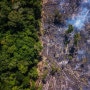 [공정무역W] 삼림 벌채에 관한 유럽 위원회(EC) 제안서 논평