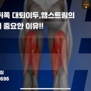 공덕PT 허벅지 뒤쪽 대퇴이두,햄스트링의 유연성이 중요한 이유!