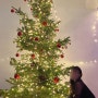 [영국 교환학생] D+83 영국식 크리스마스의 모든 것 🎄Christmas Jumper, 진저브레드 하우스 꾸미기, 🇪🇸친구들과 엔칸토 보기, winter ball ❄️