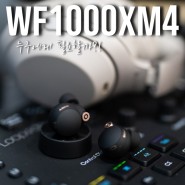 WF1000XM4 - 6주간 사용해본 후기 + 지인들에게 물어본 소니 이어폰의 사용후기