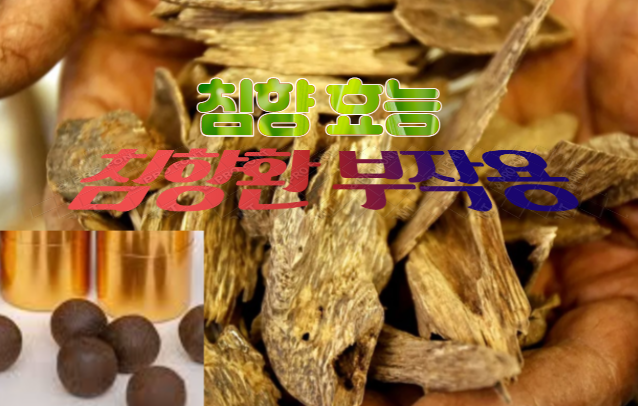 침향환 부작용과 침향 효능, 한국인의 70%가 해롭다. : 네이버 블로그