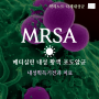 MRSA (메티실린 내성 황색포도상구균) 감염, 항생제 내성 획득 기전, 치료약