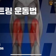 공덕헬스장 허벅지 뒤쪽 대퇴이두, 햄스트링 운동법!