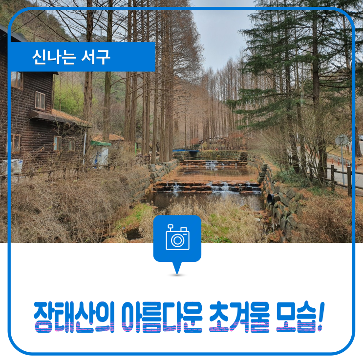[대전 관광명소 12선] 장태산자연휴양림의 아름다운 초겨울 모습