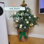 [비단 삼나무] 블루버드(블루바드) 크리스마스트리 만들기 with.다이소
