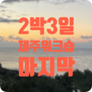 2박3일 제주 워크숍 후기 -4 (조은게마씸,표선세화해녀의집,9.81파크,대문집)