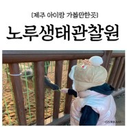 〔제주 아이랑 가볼만한곳:노루생태관찰원〕필수코스