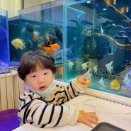 ( VIP 아쿠아카페 ) 다양한 물고기들이 있는 전주이색카페 : 아이와 가기 좋은곳