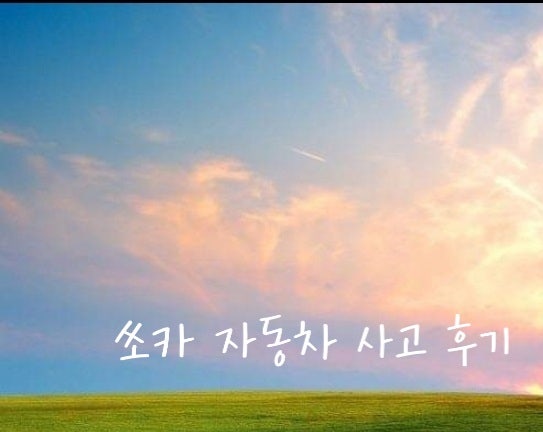 쏘카 사고후, 미신고건 후기 : 네이버 블로그