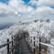 [무주여행] 덕유산 곤도라 타고 1600m 향적봉까지 - 올겨울, 눈꽃 보고 싶을 땐 여기!