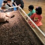 청라쥬라리움 동물먹이체험 키즈카페 아이들 종일 놀수있는곳