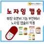 노자임 캡슐 효능, 성분 - 지방변, 췌장 외분비 기능 부전에서의 작용